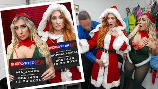 Mrs. Claus és csábító tündérsegédei elragadnak és szenvedélyesen megleckéztetik őket